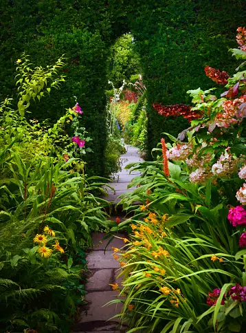Garden